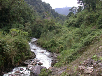 Rio Aliso near San Isidro